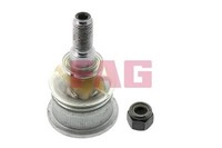 Schaeffler FAG Traggelenk FÜHrungsgelenk Vorne FüR Renault Laguna 1 Safrane 1