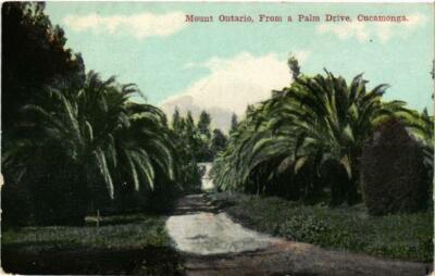 CPA AK Mount Ontario From a Palm Drive Cucamonga MEXICO (598723)
