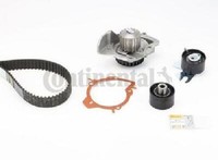 Original Continental Ctam Wasserpumpe + Zahnriemensatz CT1140WP1 FüR CitroëN DS
