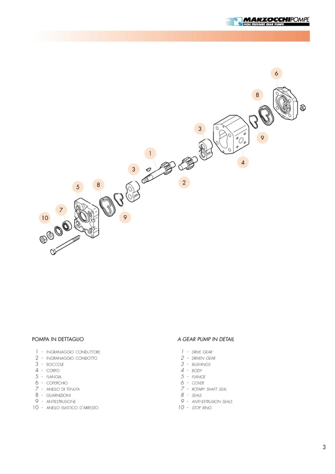 601523/R Marzocchi Kit guarnizioni per pompa ad ingranaggi tipo 1BK7 Q seal kit gear pump - Immagine 4 di 4