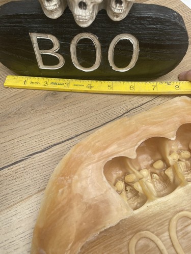 Latex Gummiform Halloween Schädel Plakette Boo Schild Spukhaus gotische Form - Bild 5 von 6