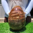 9.9LB Natural wood fossil Quartz Crystal egg Mineral specimen Healing — photo 2
