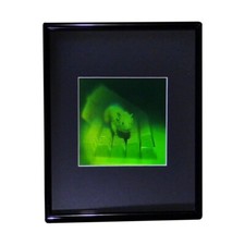3D Mouse Multi-Channel Hologram Picture FRAMED, Polaroid Photopolymer Film