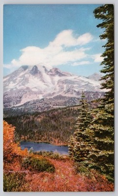 Mount Rainier Washington State United Air Lines Vintage Postcard 4c Airmail