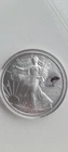 AMERICAN EAGLE SILVER DOLLAR 2008 YEAR OF THE RAT WITH DEPICTION OF A RAT