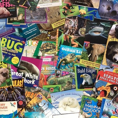 Children's Random Animal Science Nonfiction Education Classroom 20 Book Lot