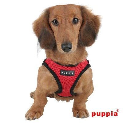 puppia mesh harness
