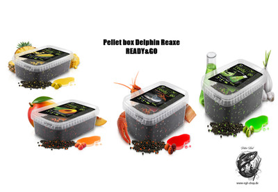 Delphin Reaxe READY&GO Pellet box - Method-Feeder Karpfen NEU 2026