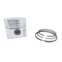 Kolben + Kolbenring-Satz (0,50 Mm - ÜBergrößE - 95,50 Mm): Kompatibel Mit Rugger