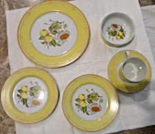6 Pieces Somerset Georges Briard China Place Setting Dinner Salad Plate Bowl Cup