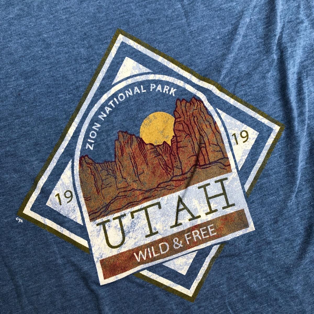 BLUE 84 Zion National Park Utah T Shirt Men's SMALL Blue
