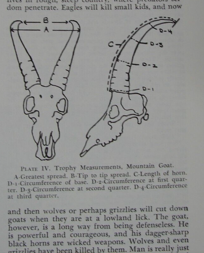 The New Hunters Encyclopedia 1966 3rd Edition - Picture 9 of 24