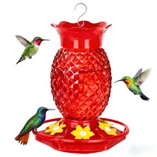 Glass Hummingbird Feeders for Outdoors Hanging Ant and Bee Proof 16OZ 1 Pack ...