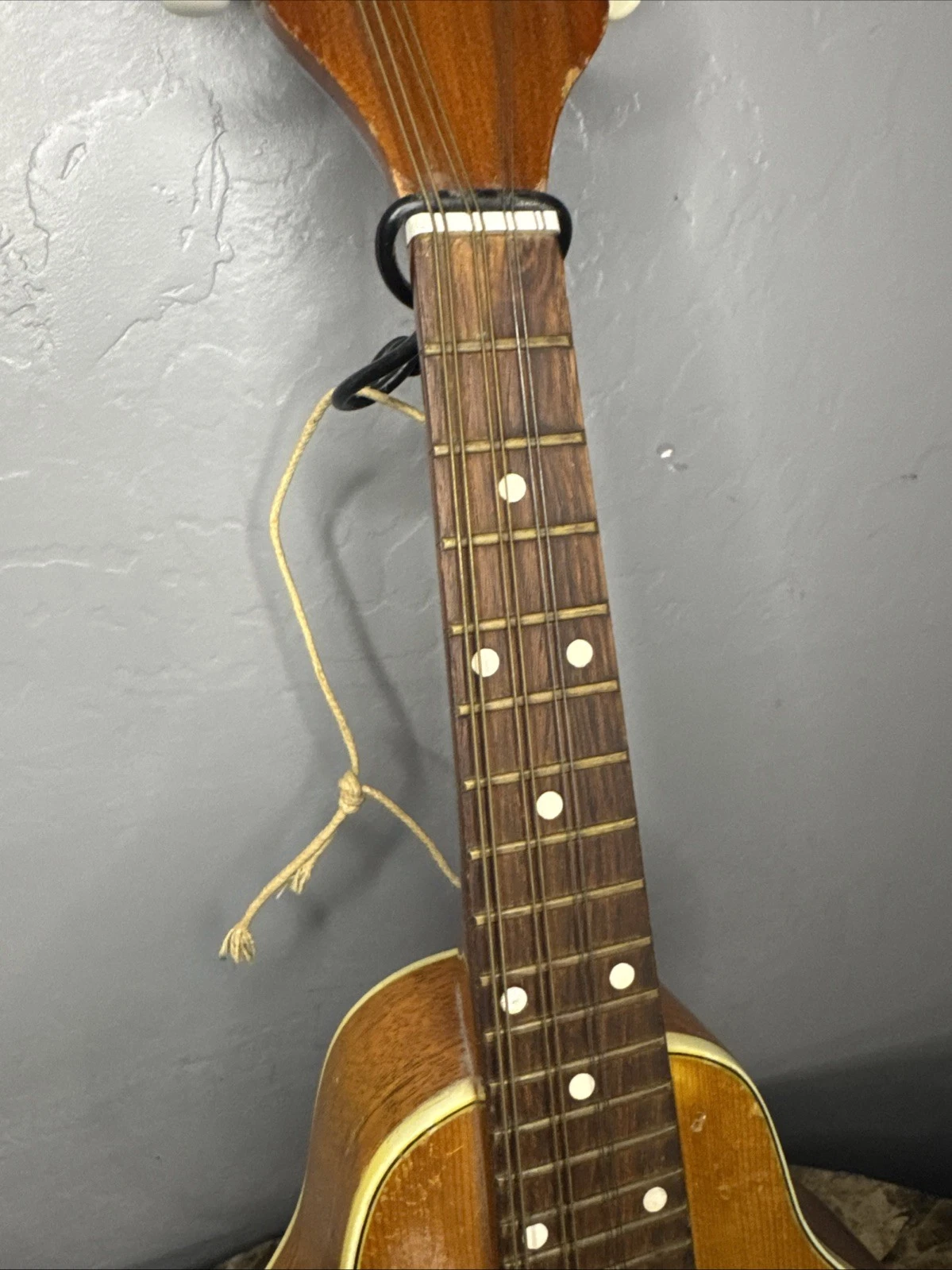 Picture 5 of 14