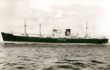 MS ARGENTIN - POSTCARD