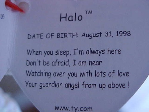 HALO der Teddybär - TY BEANIE BABY **Neuwertig** - Bild 2 von 2