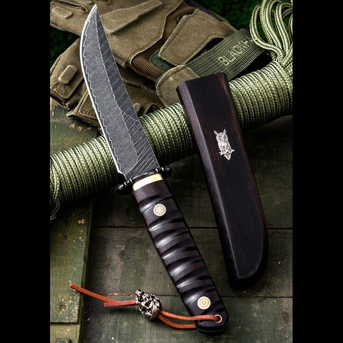 Japanese Style Damascus Fruit Knife Outdoor EDC Camping Blade for Collection - Picture 8 of 14