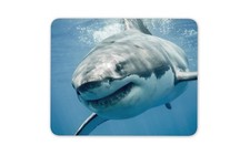 Great White Shark Mouse Mat Pad - Sharks Scuba Diving Fun Gift PC Computer #8474