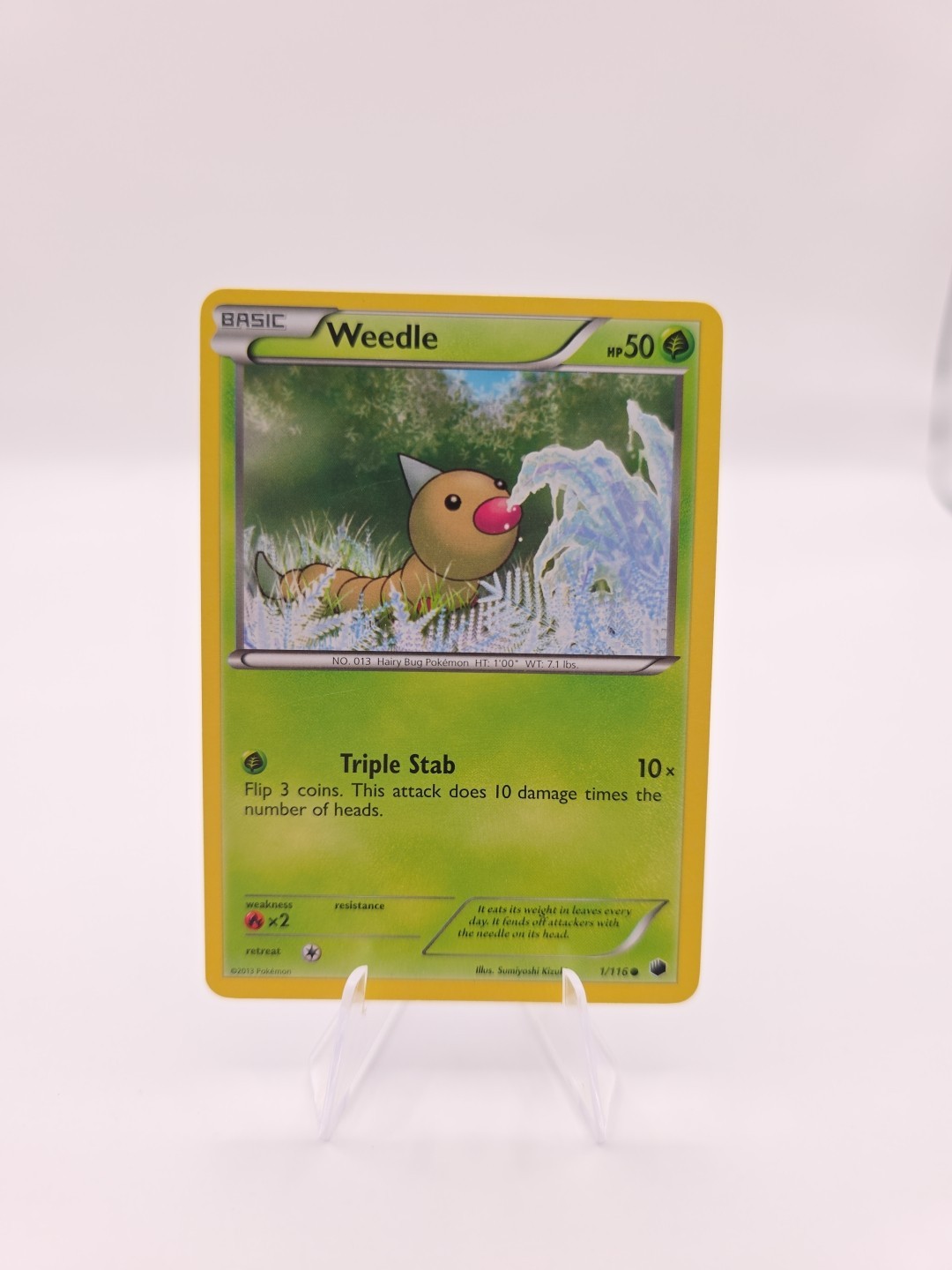 Pokemon 1/116 Weedle Common Plasma Freeze