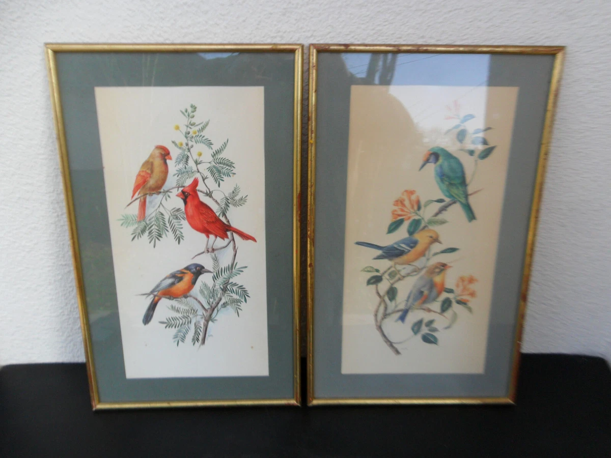 Lithographie d'oiseaux "HAEMATOSPIZA SIPAHI" de J. Gould & H.C. Richter
