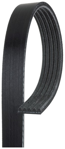 Gates 5PK705SF Keilrippenriemen 5 Rippen 705 Mm Schwarz Epdm-image