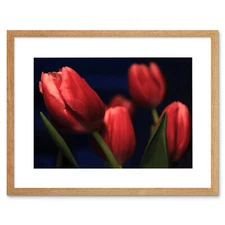 Wee Blue Coo Tulips Red Flowers Bloom Art Framed Wall Art Print