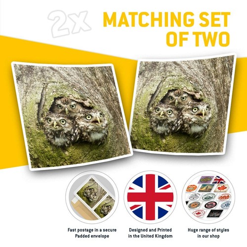 2 x Square Stickers 10 cm - Owl Chicks Baby Bird Cute Wildlife #45962 - 第 2/9 張圖片