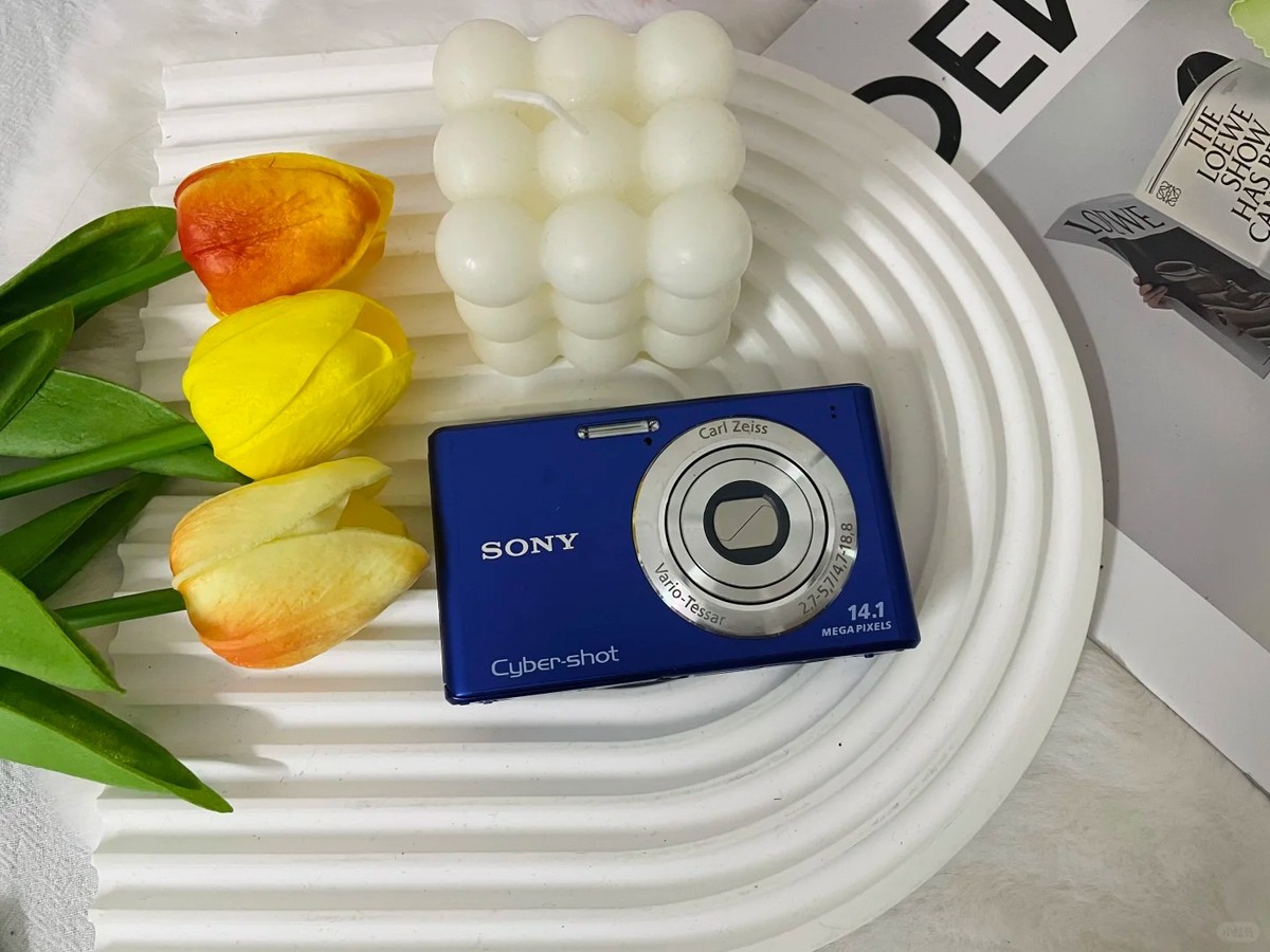 SONY DSC-W550 14.1MP CCD Vintage Digital Camera - 90% new | eBay