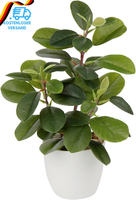 28Cm Kunstpflanzen Im Topf FüR Heimdekoration KüNstliche Zimmerpflanze Camellia,