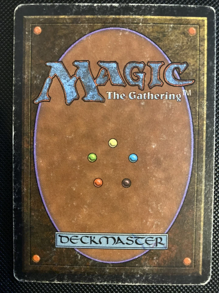 English - MTG Savannah Lions - HP - Unlimited Edition - Image 2 of 2