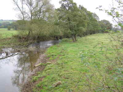 Foto 6x4 River Blithe Szene Gratwich Dieser sich schlängelnde reife Fluss erscheint c2007