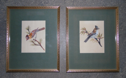 Pair C19th  Indian Company Gouaches Bird in Flowering Tree. Crested Lark? - Picture 1 of 6