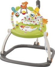 Fisher-Price  Woodland Friends Space Saver Jumperoo in Green