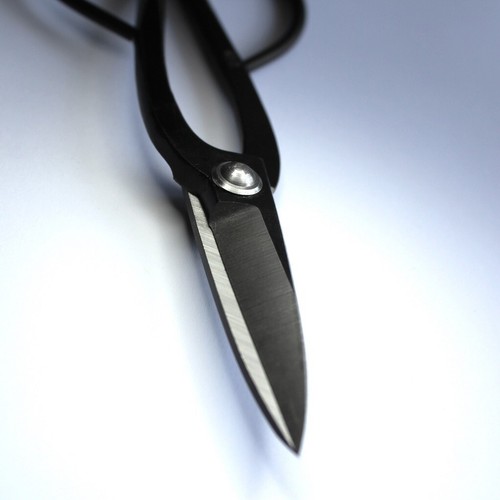 Professional Scissors - 200mm JAPANESE STEEL | Bonsai Tools - Picture 4 of 7