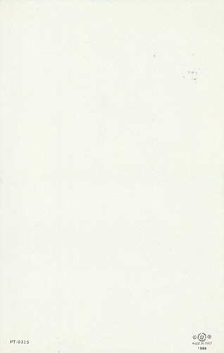 *Holy Card-"Our Lady of Medjugorje" /See Scans & Description/ (HC-3)+ - Picture 2 of 2