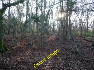 Photo 6x4 In Cae Pwtto Wood Gaer-fawr The path wanders amongst the trees  c2013