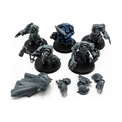 GW 40k Space Wolves Loose Mini 28mm Wolf Guard Terminators #4 NM