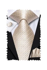 Hi-Tie Mens Plaid Ties Classic Paisley Necktie with Handkerchief Cufflinks Se...