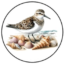 SANDPIPER BIRD ENVELOPE SEALS LABELS STICKERS PARTY FAVORS