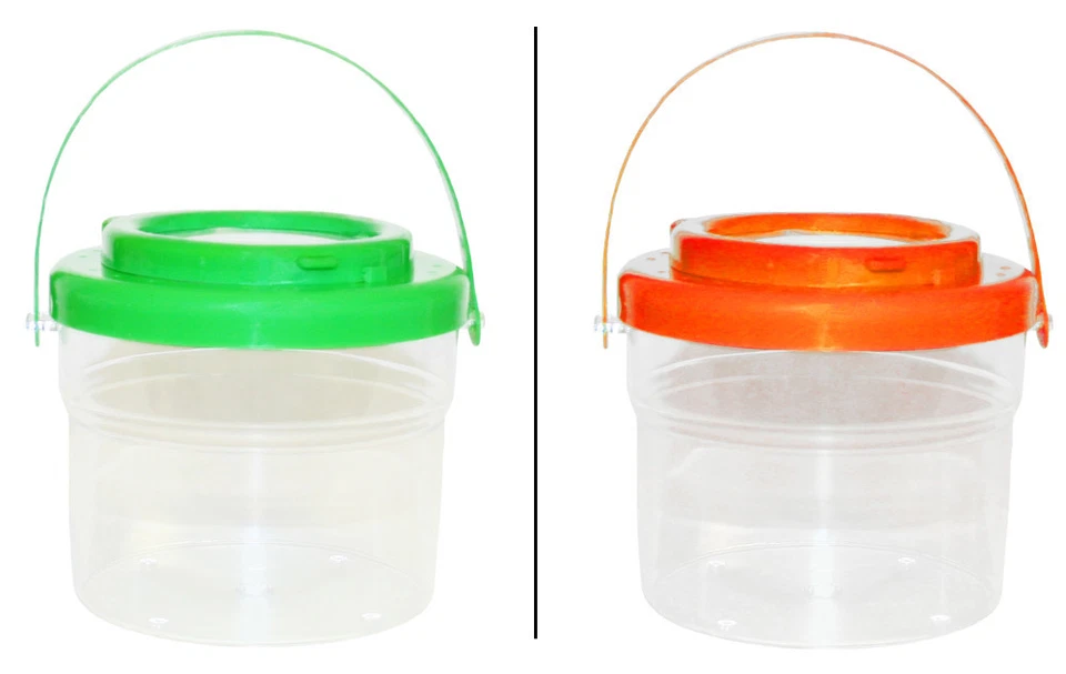 INSEKTEN-EIMERCHEN 1x Lupendose Insekten beobachten Lupeneimer Insekteneimer