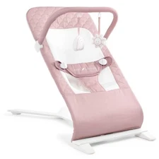 Baby Delight Alpine Deluxe Portable Baby Bouncer  Infant 0-6 Months  DAMAGED BOX