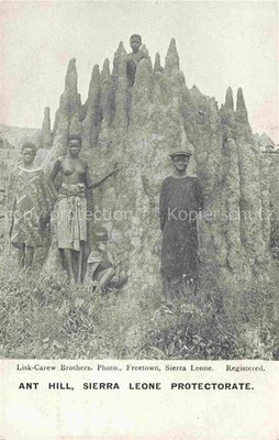 Freetown  Sierra Leone Ant Hill Sierra Leone Protectorate