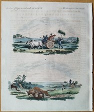 Antilopen Jagd Leopard - Bertuch Originaldruck Koloriert - 1792