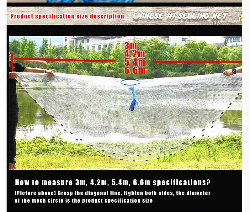 Bild 9 von 12