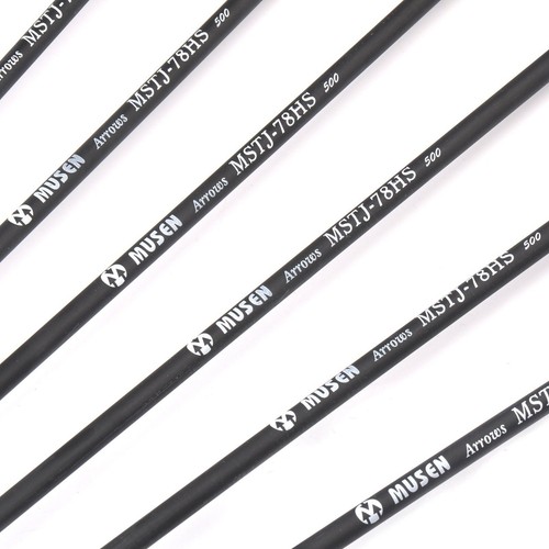 32" Archery Carbon Arrows SP500 Removable Tips for Recurve&Compound Bow Target - Picture 6 of 18