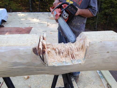 10" x 13" Double Round, Hand-Peeled, White Pine, Full Log Cabin Home Logs - Picture 7 of 12