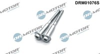 Schraube EinspritzdÜSenhalter Drmotor Automotive DRM01076S FÜR Audi Seat VW