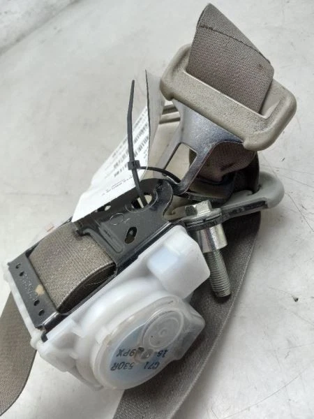 Toyota Prius V 2016 lado del pasajero conjunto de cinturón de seguridad trasero Foto 3 de 4