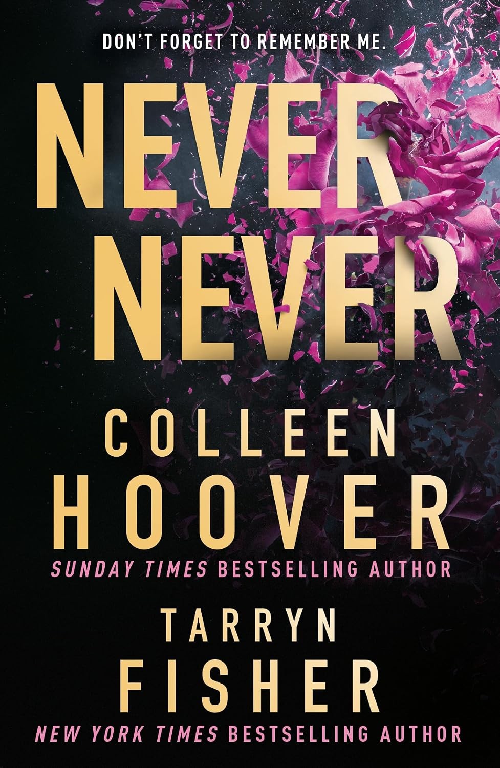 Never Never Colleen Hoover - Image 3