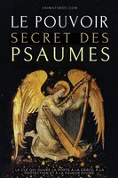 Alema Vitae (U. A.) | Le Pouvoir Secret Des Psaumes | Taschenbuch | FranzöSisch